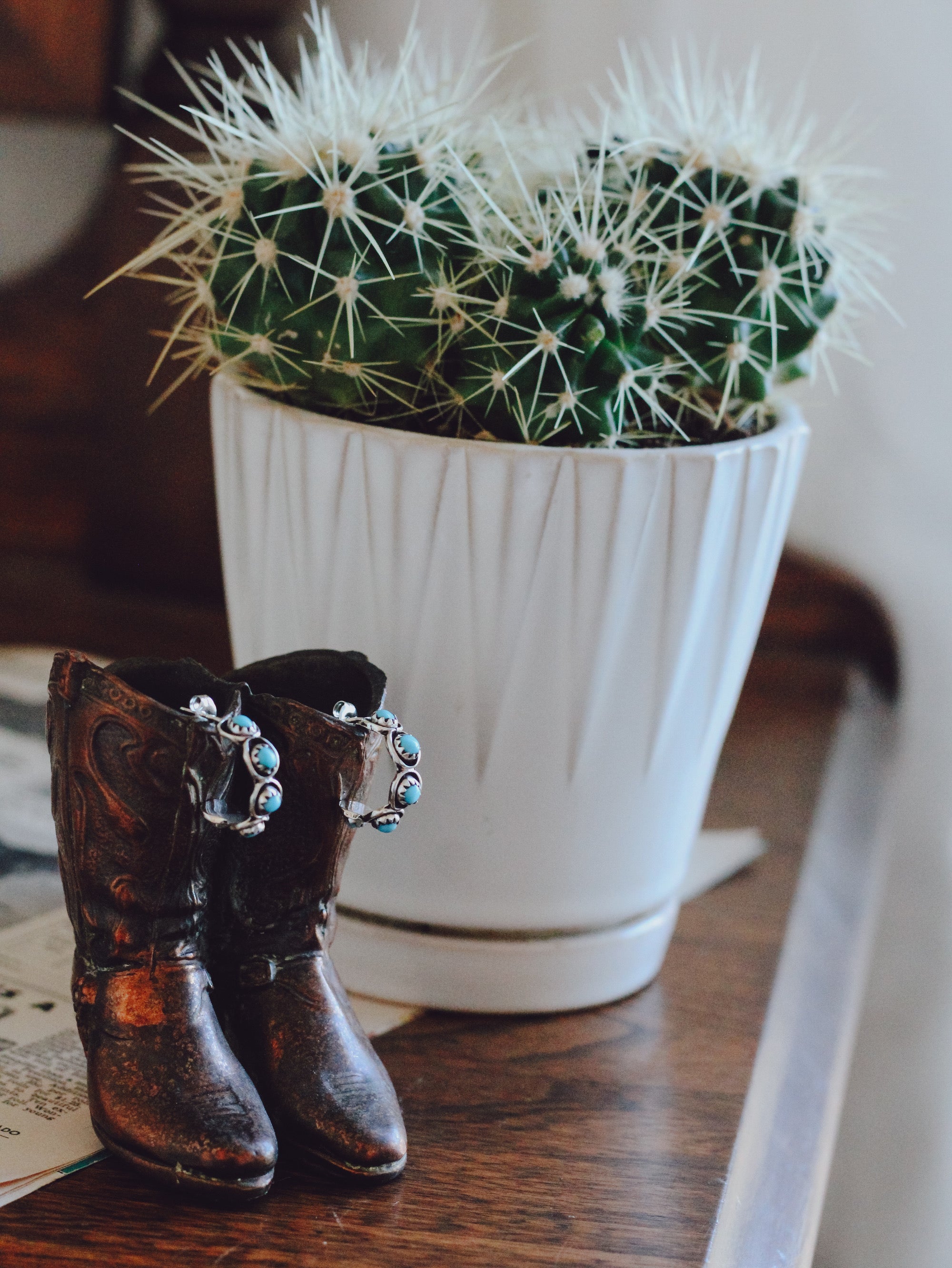 Iris • Turquoise Hoops