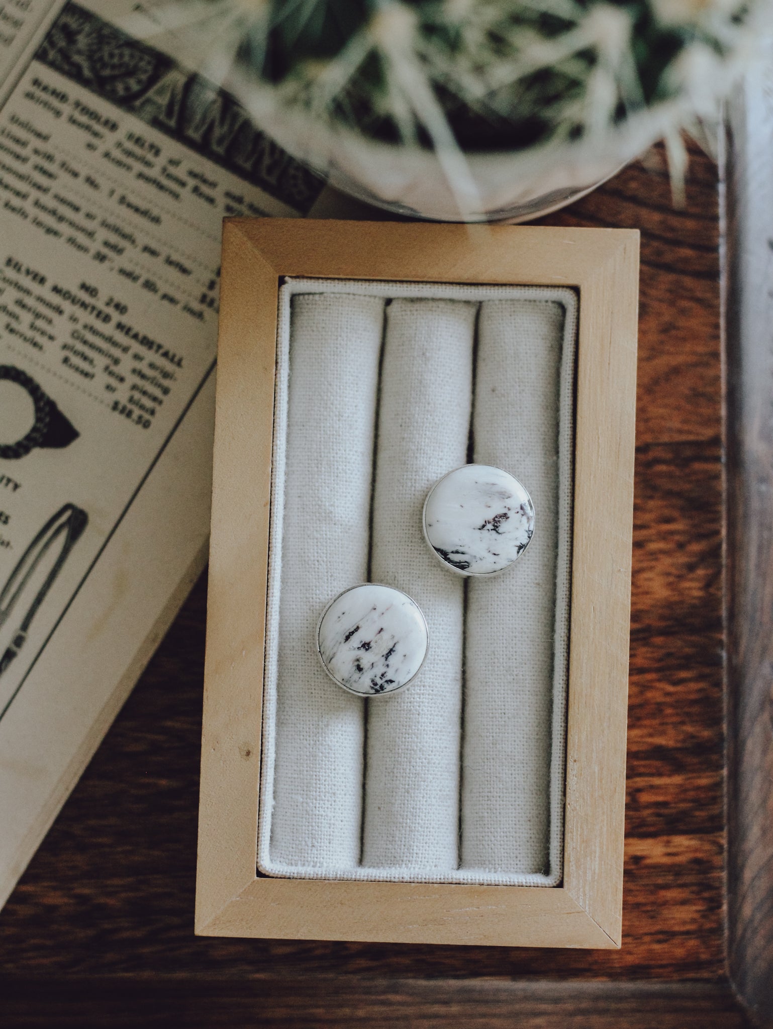 Parker • White Buffalo Studs