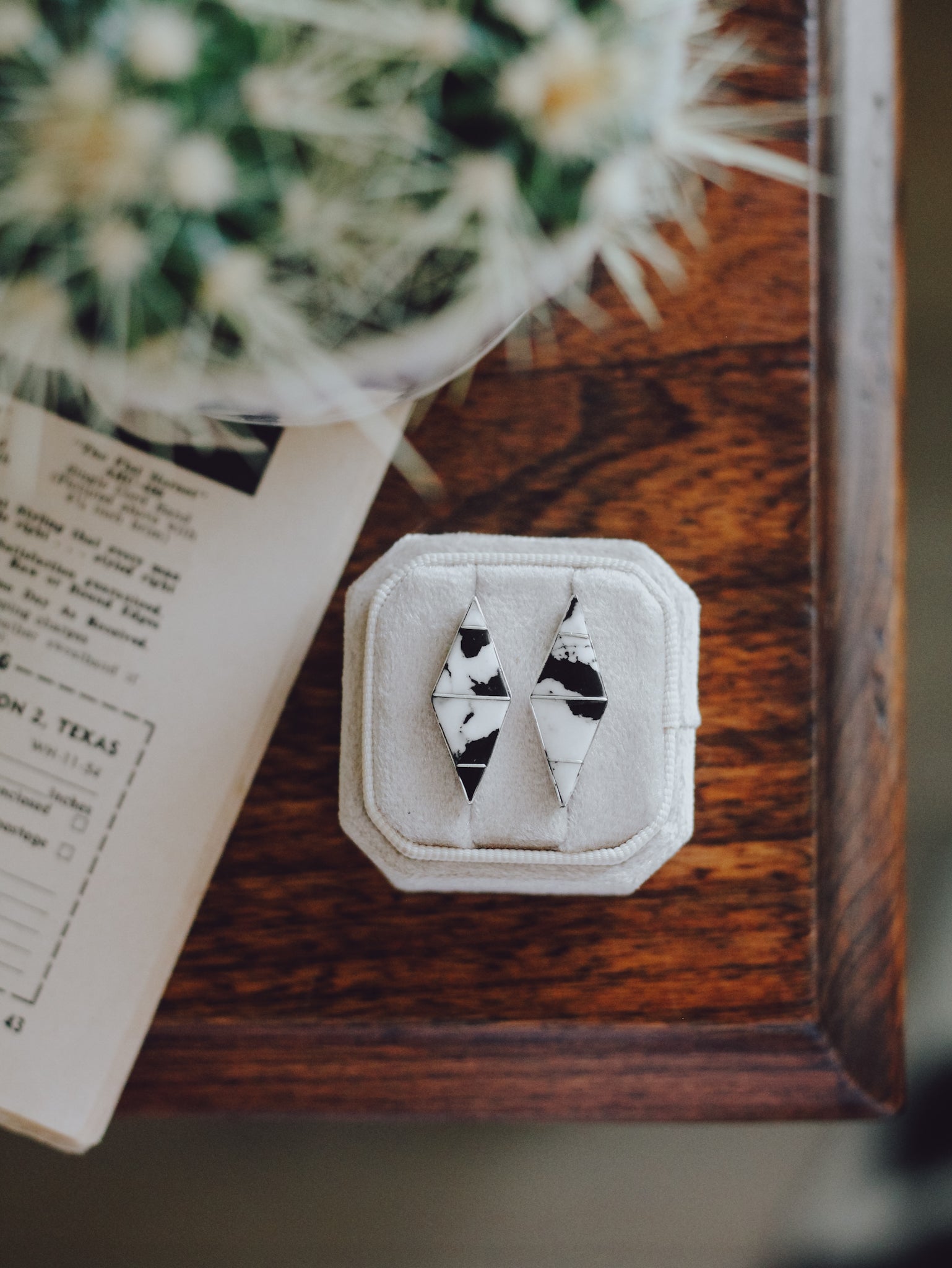 Outlaw • White Buffalo Studs