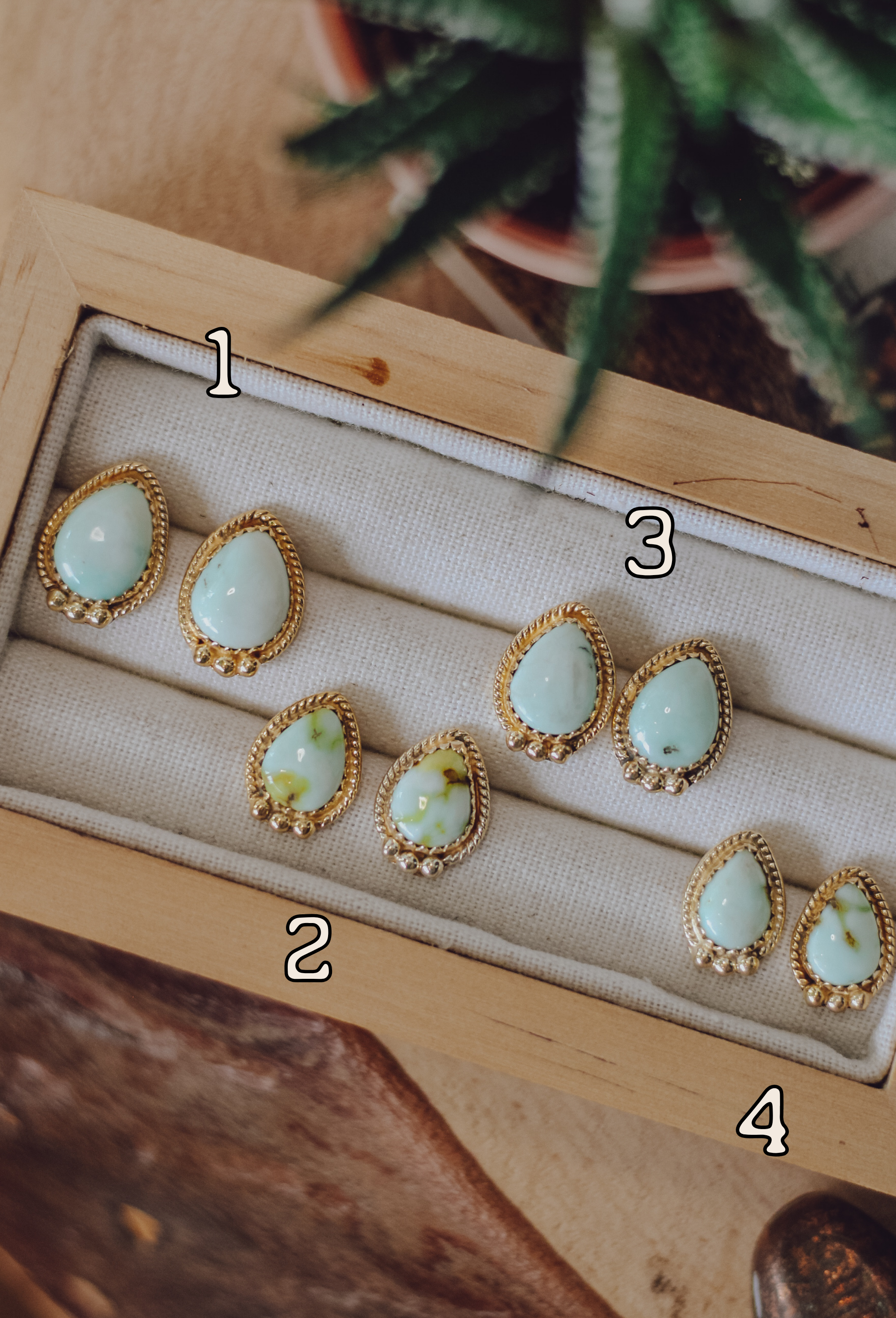 Stockton • Palomino Studs