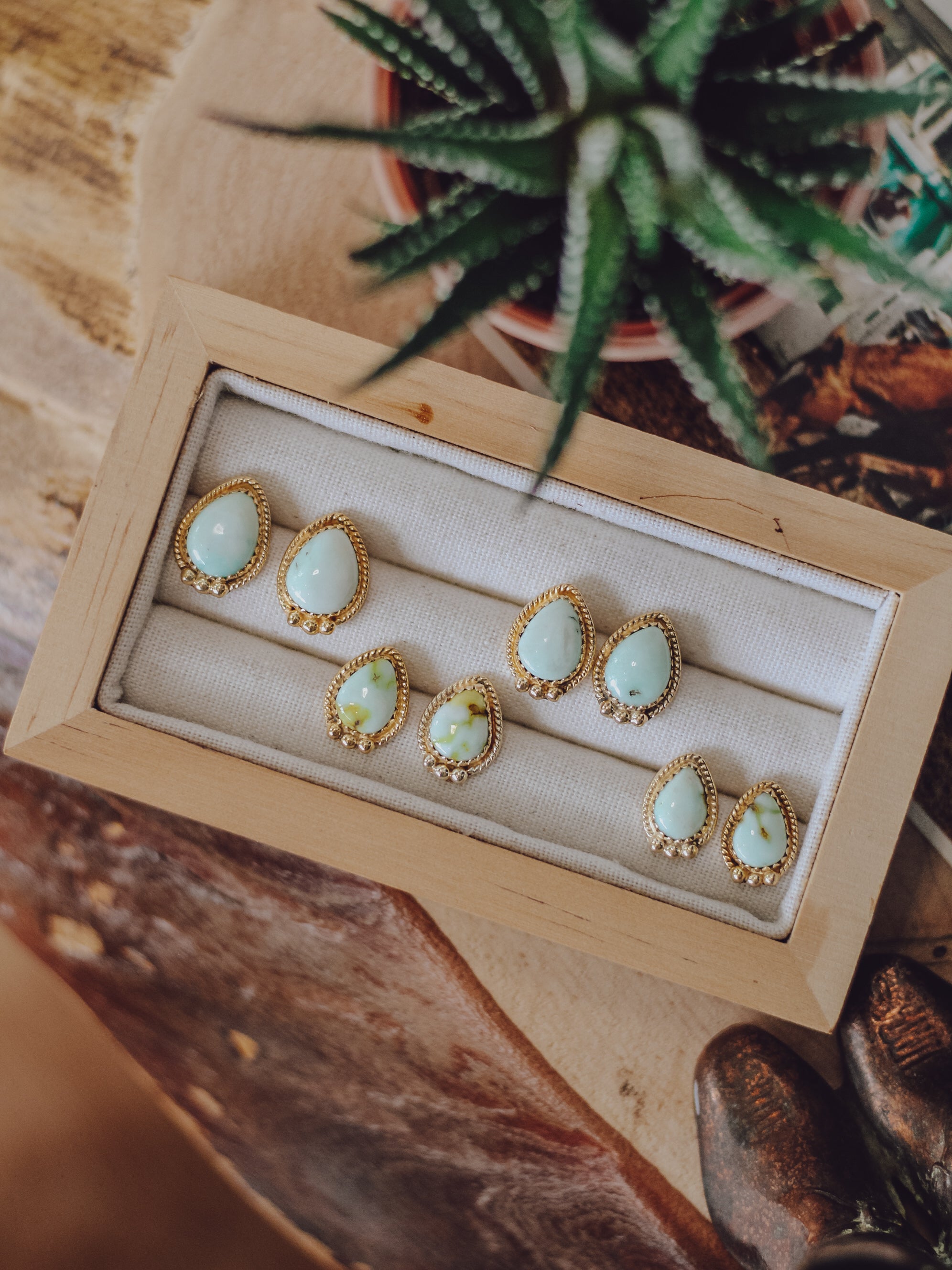 Stockton • Palomino Studs
