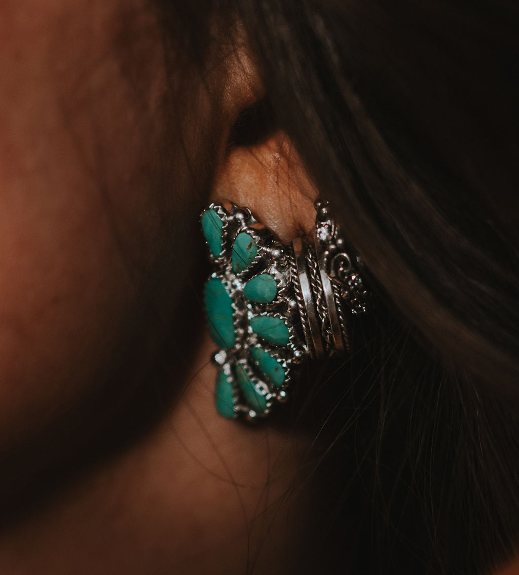 Sage • Cluster Set